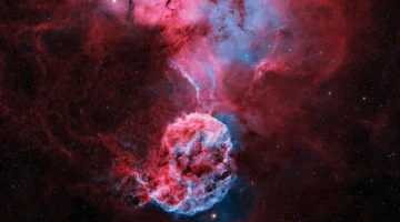 مرصد الختم يوثق ظهور ظاهرة قنديل البحر في سماء أبوظبي المضيئة